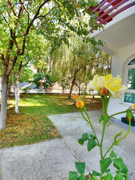 Forest Apartment Niksic Exterior photo